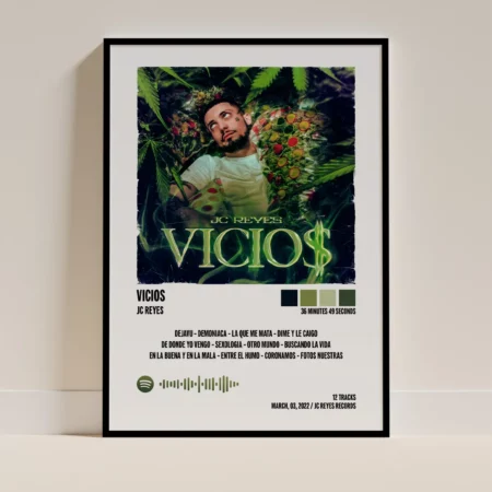 VICIOS